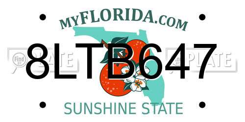 8LTB647 Florida License Plate