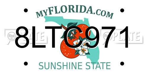 8LTC971 Florida License Plate