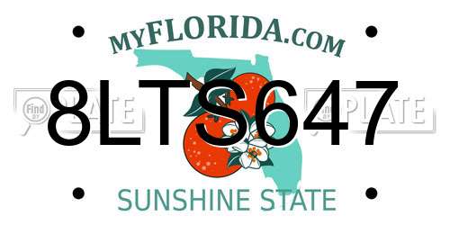 8LTS647 Florida License Plate