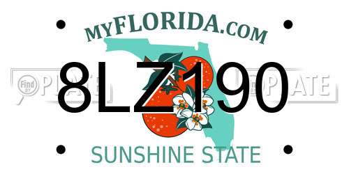 8LZ190 Florida License Plate