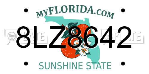 8LZ8642 Florida License Plate