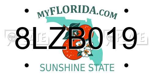 8LZB019 Florida License Plate