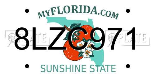 8LZC971 Florida License Plate