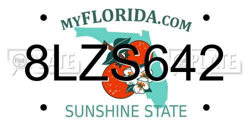 8LZS642 Florida License Plate