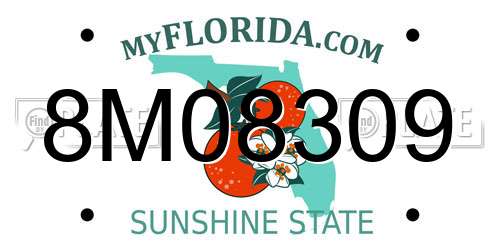 8M08309 Florida License Plate