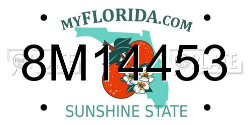 8M14453 Florida License Plate