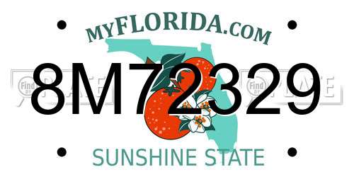 8M72329 Florida License Plate