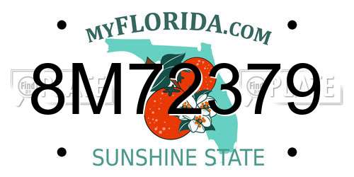 8M72379 Florida License Plate