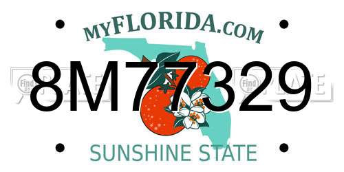 8M77329 Florida License Plate