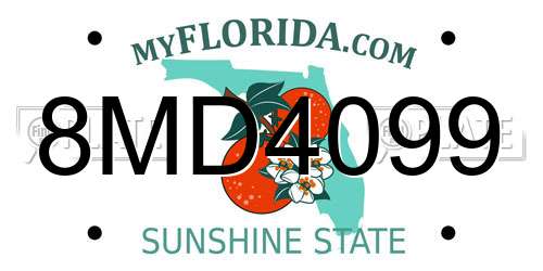 8MD4099 Florida License Plate
