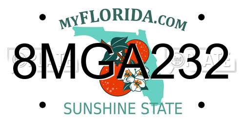 8MGA232 Florida License Plate