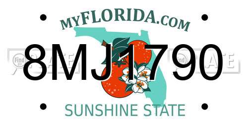 8MJ1790 Florida License Plate
