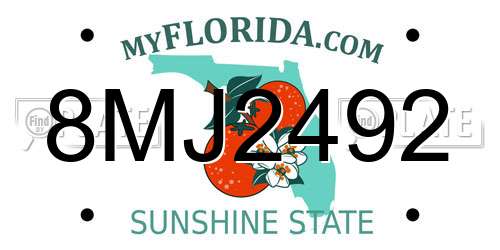 8MJ2492 Florida License Plate