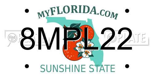 8MPL22 Florida License Plate
