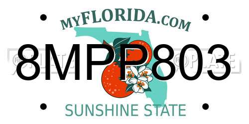 8MPP803 Florida License Plate