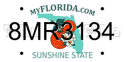 8MR3134 Florida License Plate
