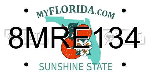 8MRE134 Florida License Plate