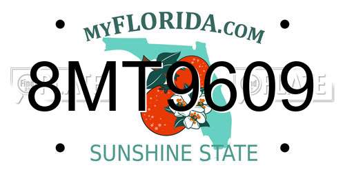 8MT9609 Florida License Plate