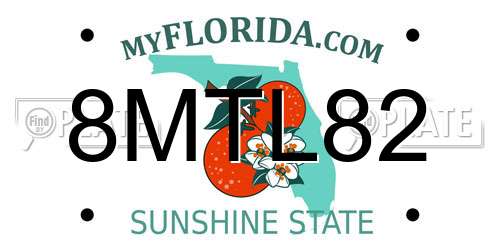 8MTL82 Florida License Plate