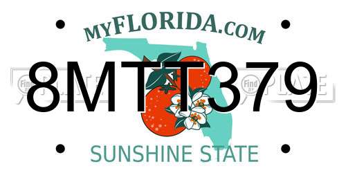 8MTT379 Florida License Plate