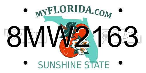 8MW2163 Florida License Plate
