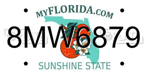 8MW6879 Florida License Plate