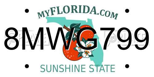 8MWG799 Florida License Plate