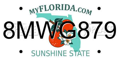 8MWG879 Florida License Plate