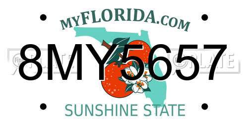 8MY5657 Florida License Plate