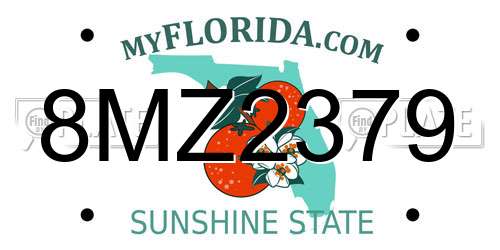 8MZ2379 Florida License Plate