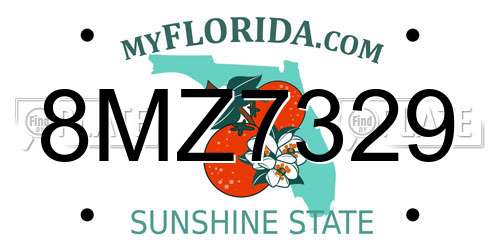 8MZ7329 Florida License Plate