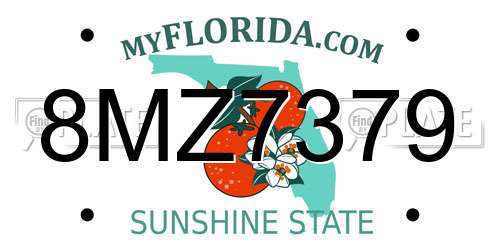 8MZ7379 Florida License Plate