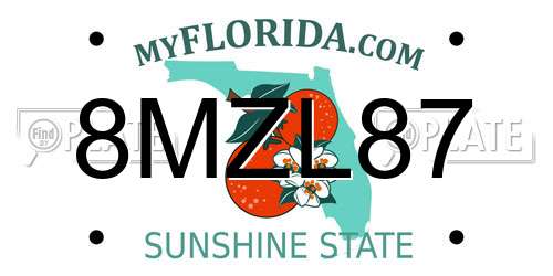 8MZL87 Florida License Plate