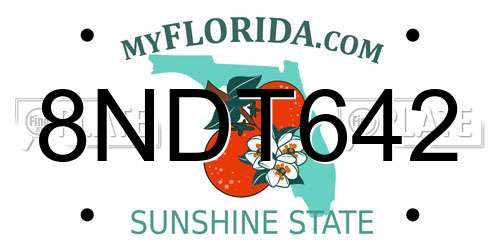 8NDT642 Florida License Plate