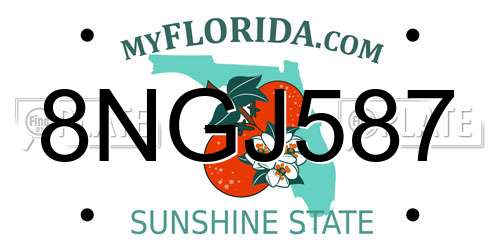 8NGJ587 Florida License Plate