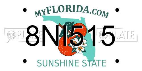 8NI515 Florida License Plate