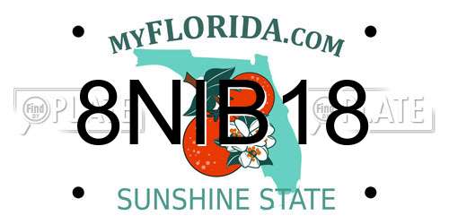 8NIB18 Florida License Plate