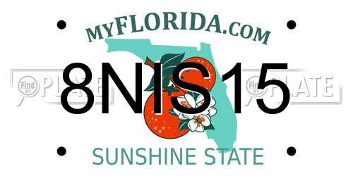 8NIS15 Florida License Plate