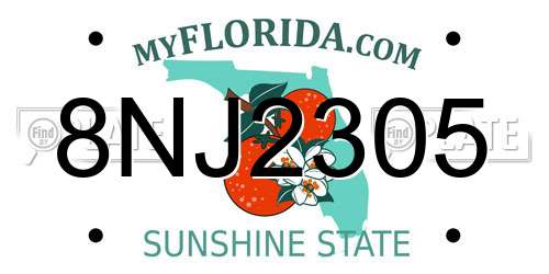 8NJ2305 Florida License Plate