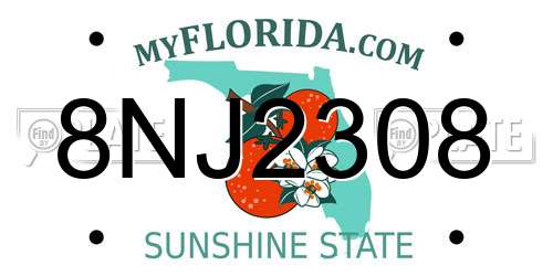 8NJ2308 Florida License Plate