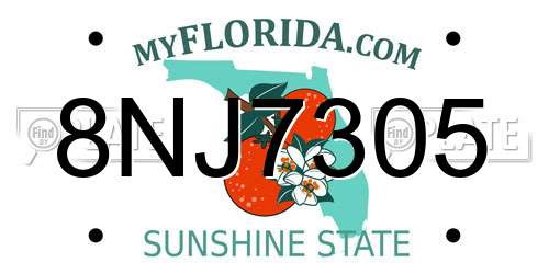 8NJ7305 Florida License Plate