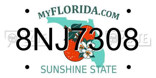 8NJ7308 Florida License Plate