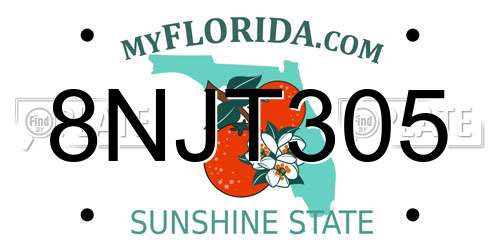 8NJT305 Florida License Plate