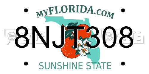 8NJT308 Florida License Plate