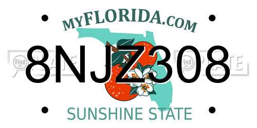 8NJZ308 Florida License Plate