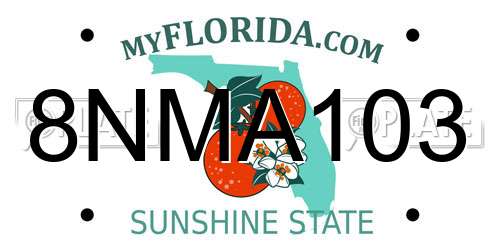 8NMA103 Florida License Plate