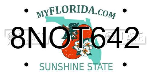 8NOT642 Florida License Plate