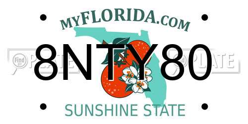 8NTY80 Florida License Plate