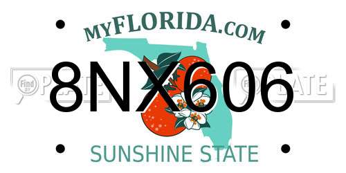 8NX606 Florida License Plate