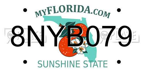 8NYB079 Florida License Plate
